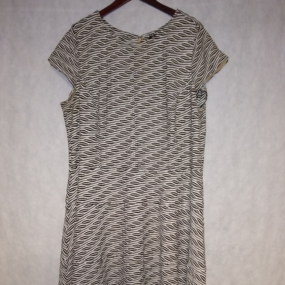 Sharagano Dress Size 24W